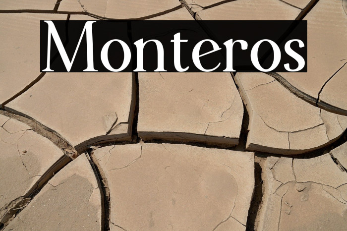 Monteros Example 1