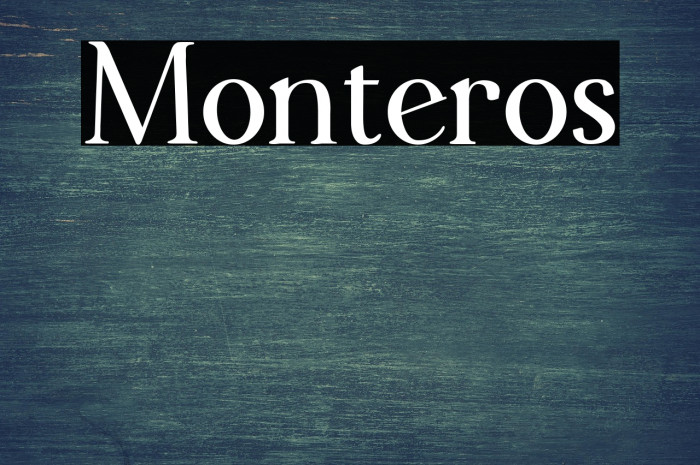 Monteros Example 2
