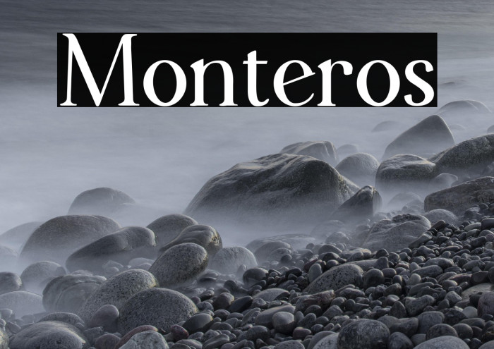 Monteros Example 3