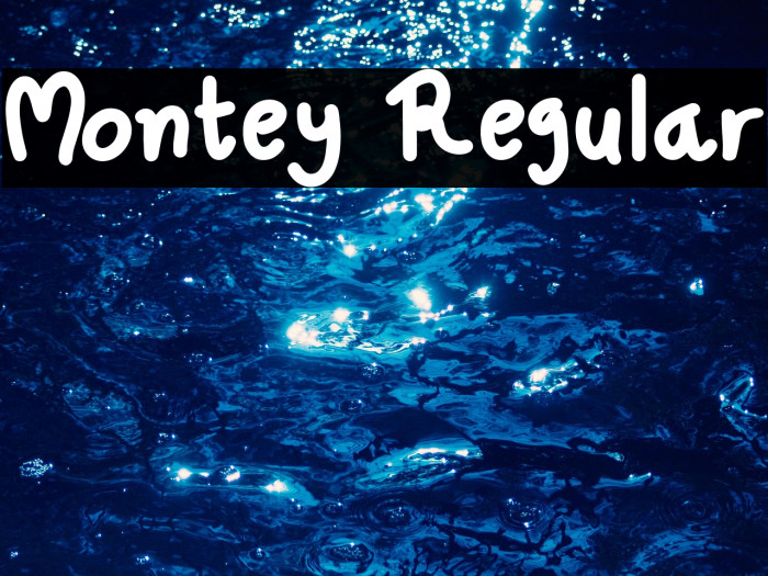 Montey Regular Example 1