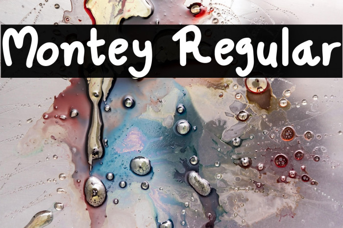 Montey Regular Example 2