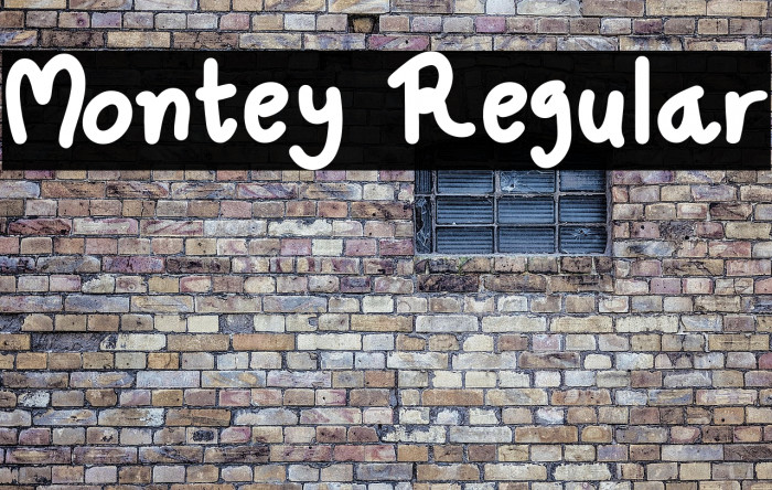 Montey Regular Example 3