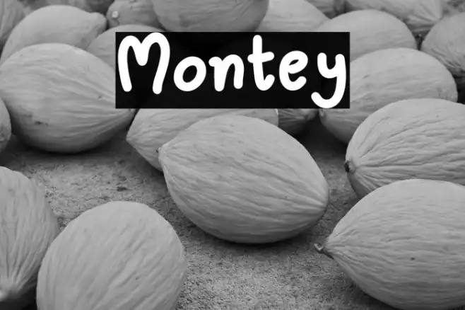 Montey Example 1