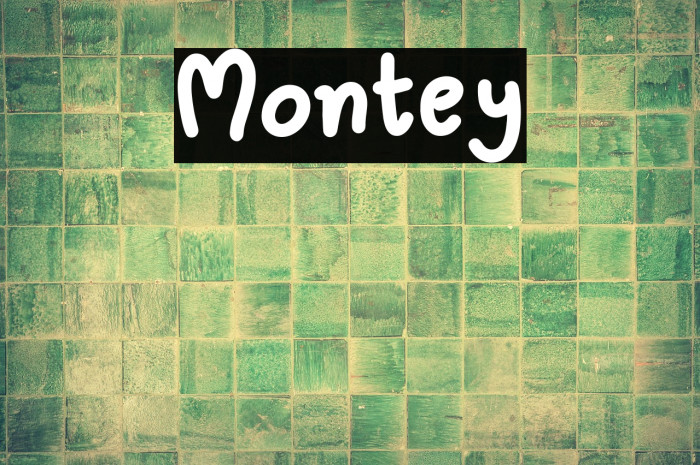 Montey Example 3