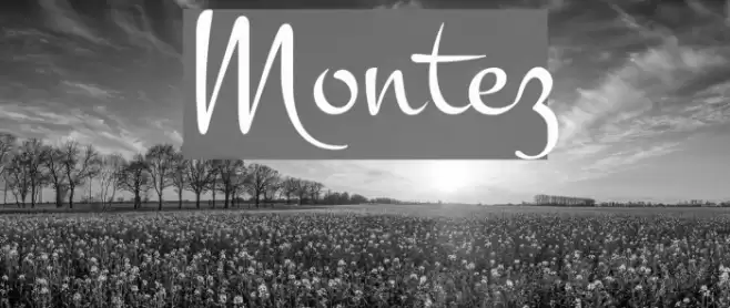 Montez Fonte examples