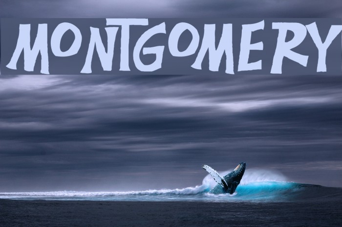 Montgomery Font examples