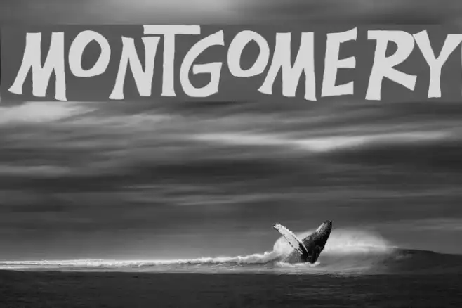 Montgomery Example 1