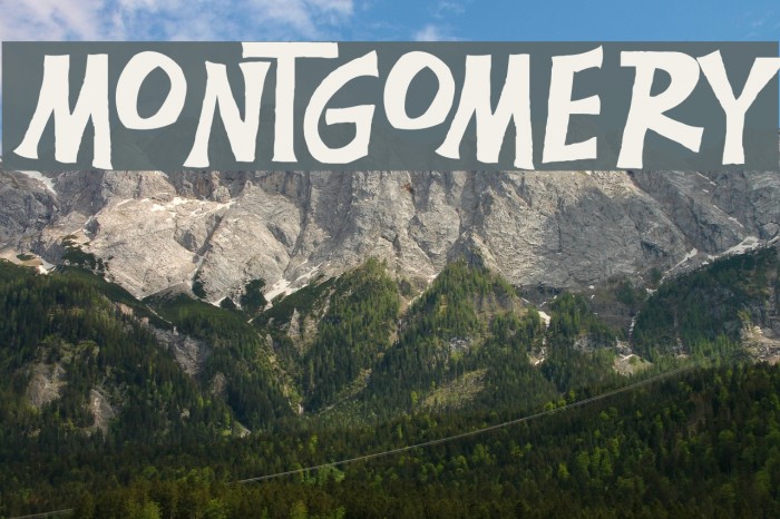 Montgomery Font examples