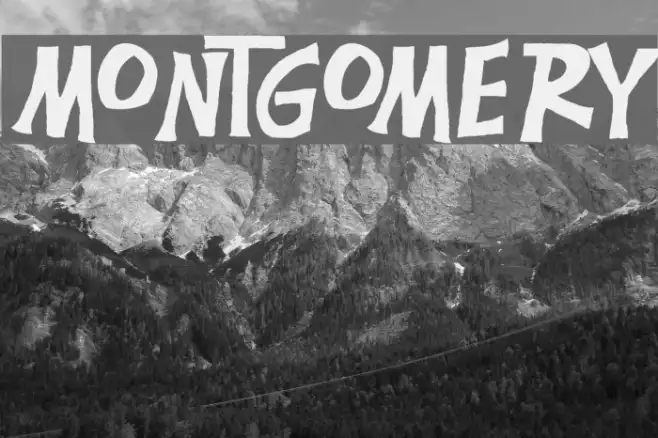 Montgomery Example 2