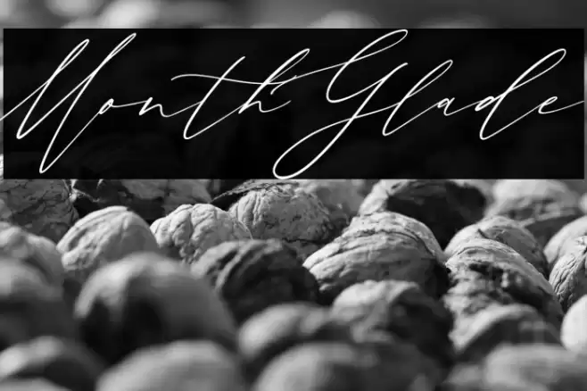 MonthGlade Font examples