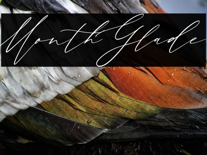 MonthGlade Example 3