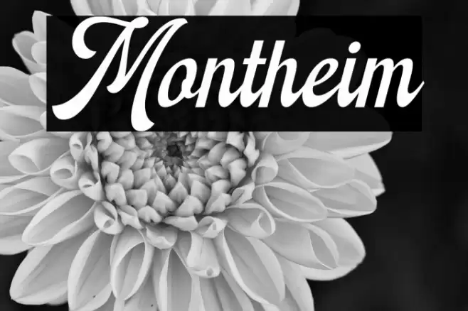 Montheim Font examples