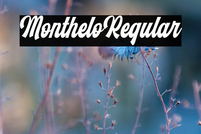 Monthelo-Regular Example 1