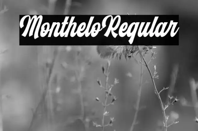 Monthelo-Regular Example 1
