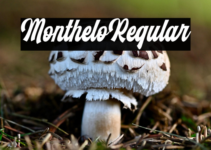 Monthelo-Regular Example 2