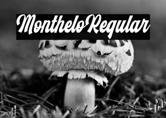 Monthelo-Regular Example 2