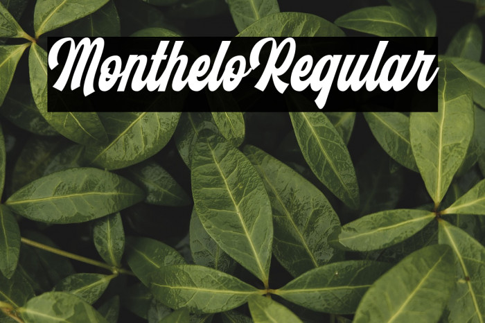 Monthelo-Regular Example 3