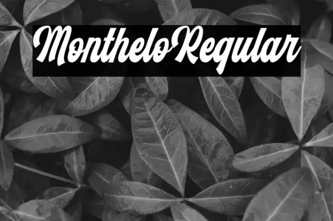 Monthelo-Regular Example 3