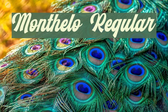 Monthelo Regular Example 1