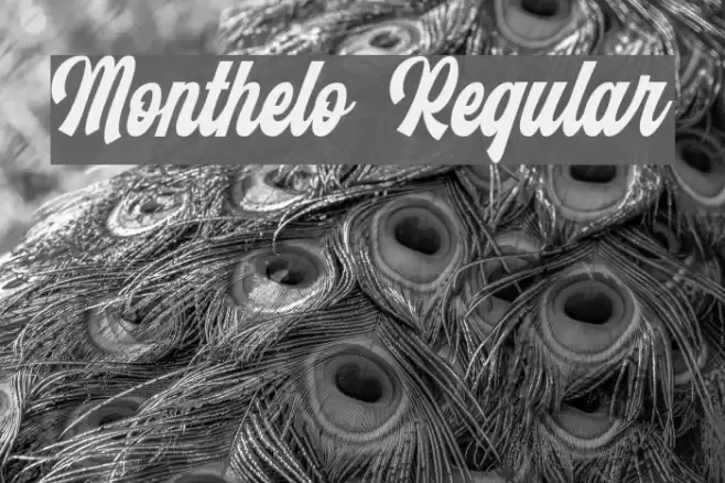 Monthelo Regular Font examples