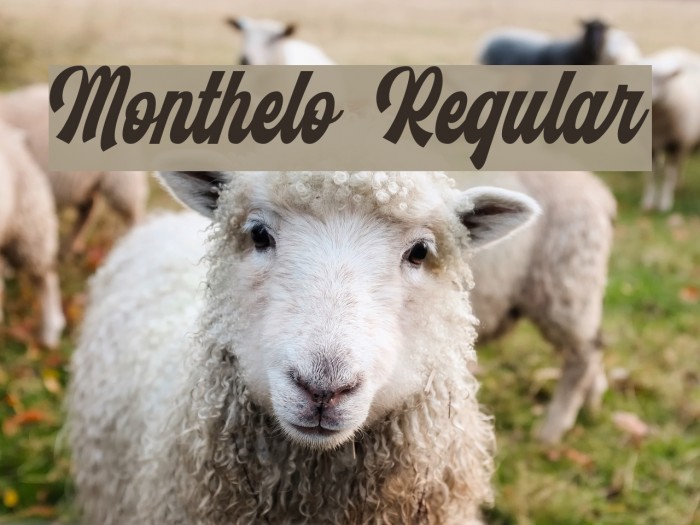 Monthelo Regular Example 3