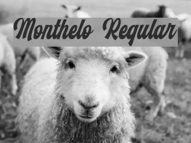 Monthelo Regular Font examples
