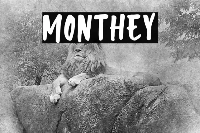 Monthey Example 1
