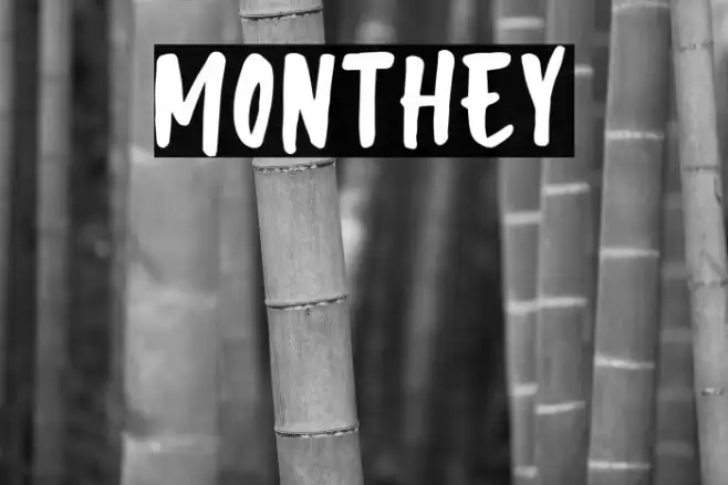 Monthey Example 2