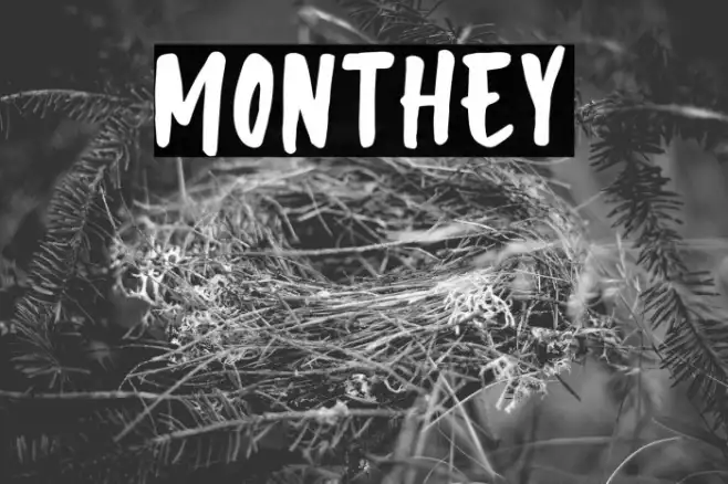 Monthey Example 3