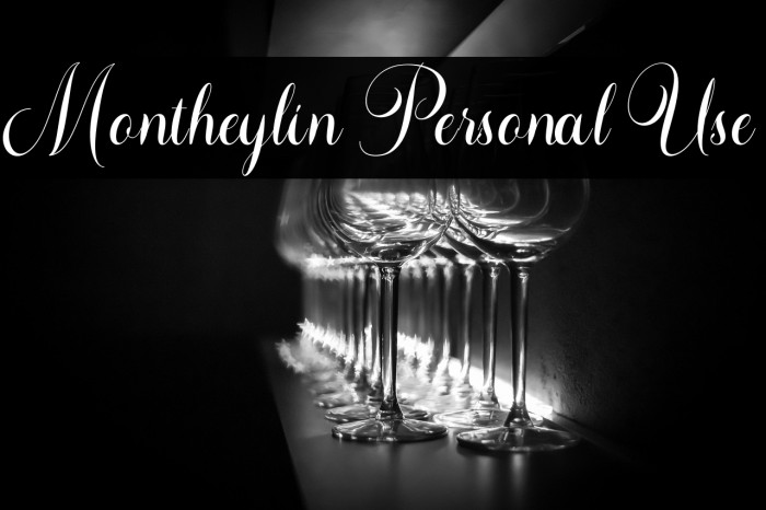 Montheylin Personal Use Example 2