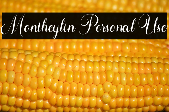 Montheylin Personal Use Example 3