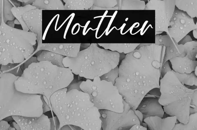 Monthier Example 1