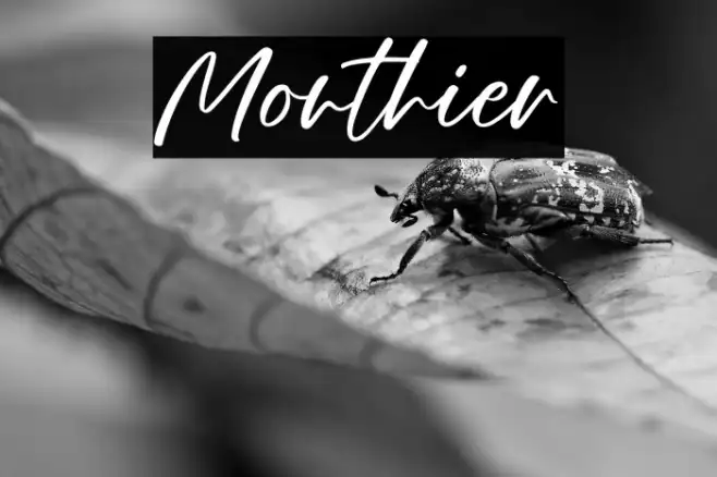 Monthier Example 2