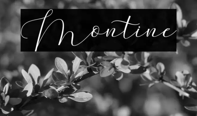 Montine Font examples