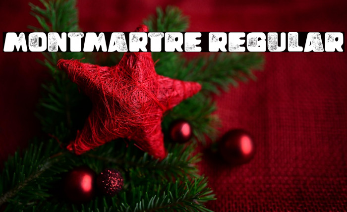 Montmartre Regular Example 1
