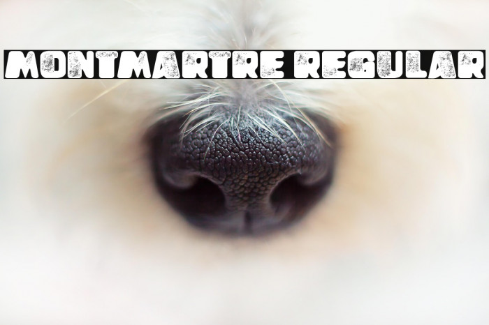 Montmartre Regular Example 3