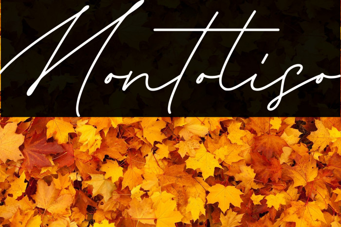 Montoliso フォント examples