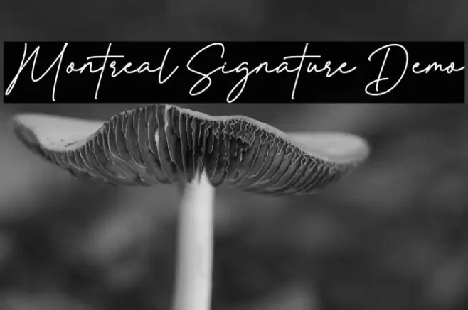 Montreal Signature Demo Polices examples