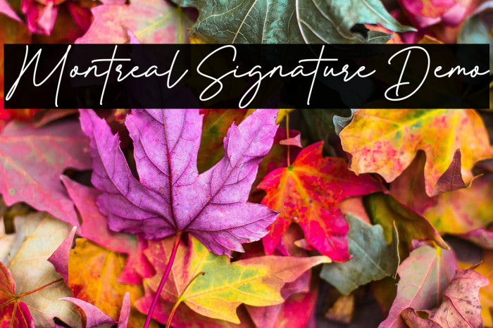Montreal Signature Demo Example 3