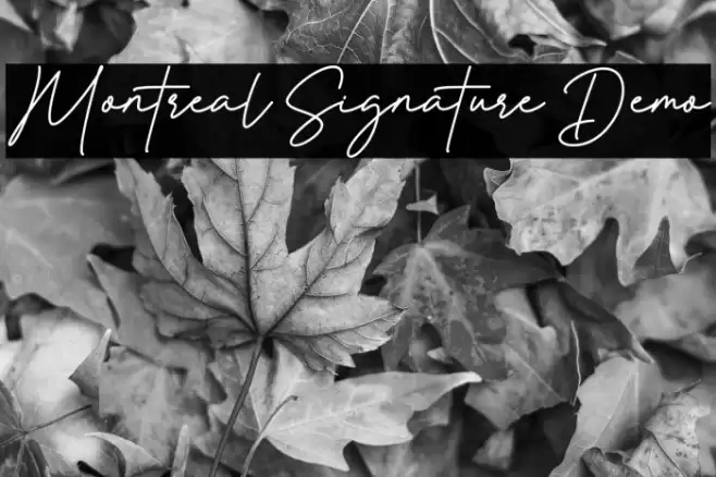 Montreal Signature Demo Polices examples