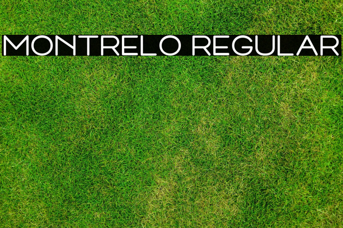 Montrelo Regular Example 1