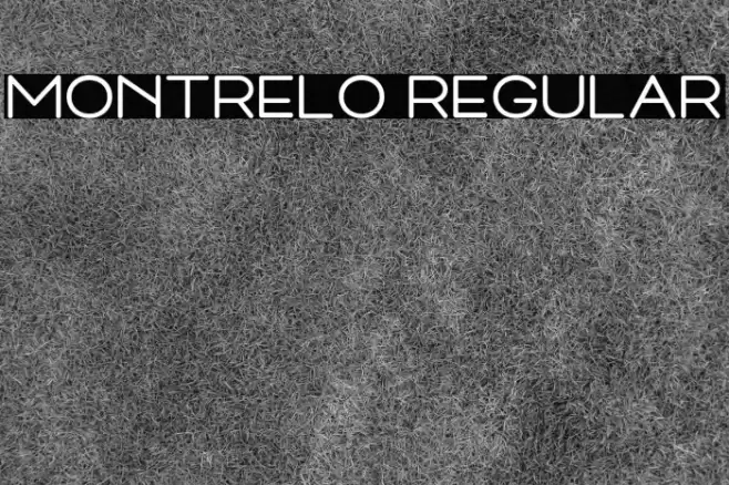 Montrelo Regular Font examples