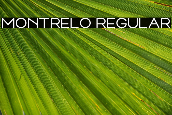 Montrelo Regular Example 3