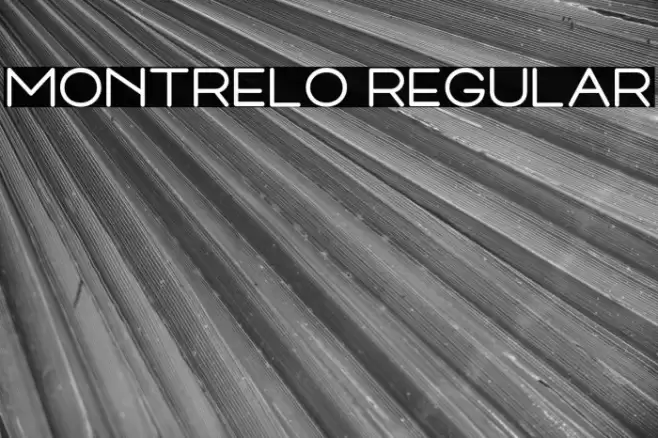 Montrelo Regular Font examples