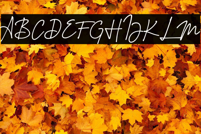 Montreuil Signature Font Example 2