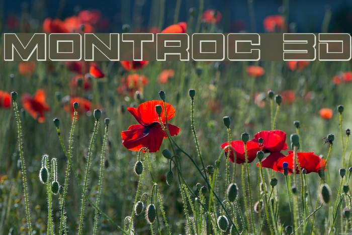 Montroc 3D Font examples