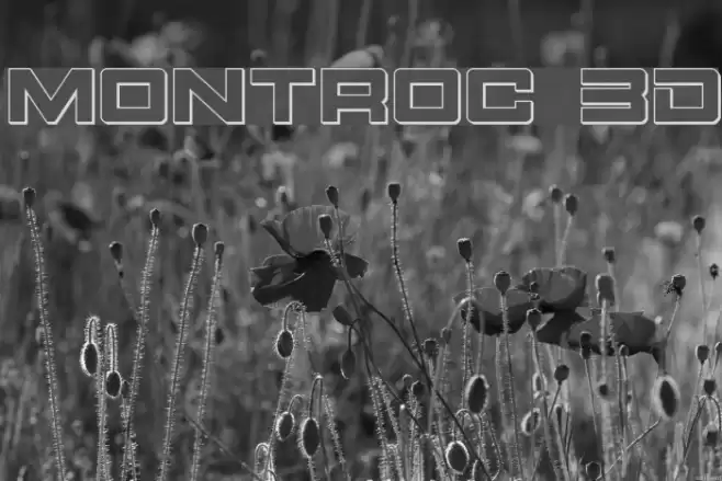 Montroc 3D Font examples