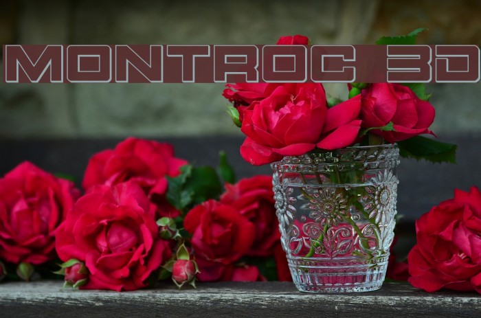Montroc 3D Font examples