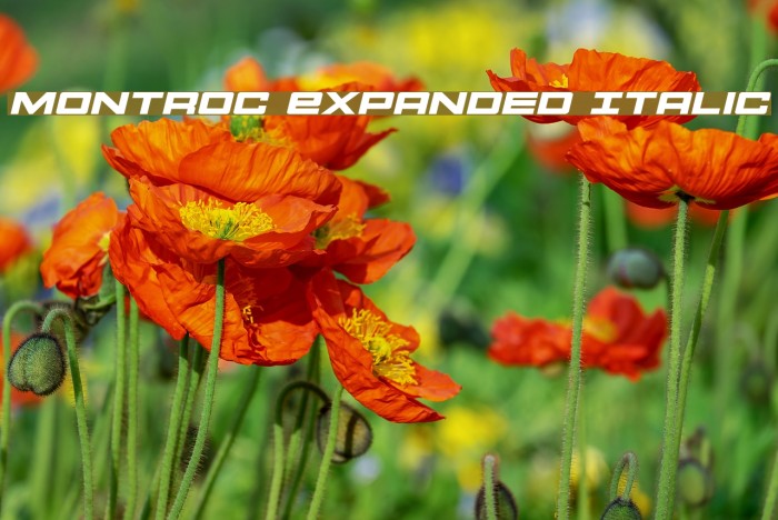 Montroc Expanded Italic Example 1