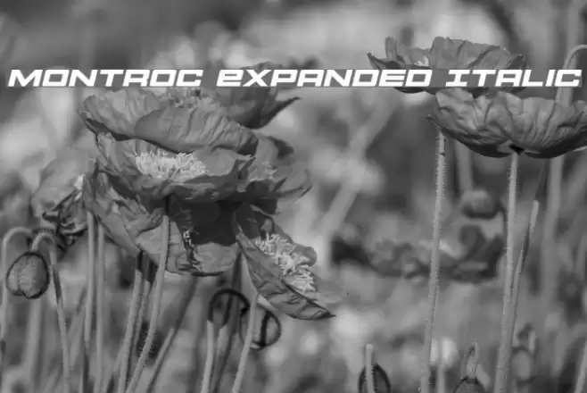 Montroc Expanded Italic Font examples